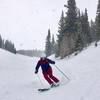 aspen_braun
